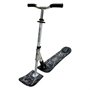 Pro «Aktion» Snow Scooter