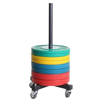 Vertical support for bumper plates
