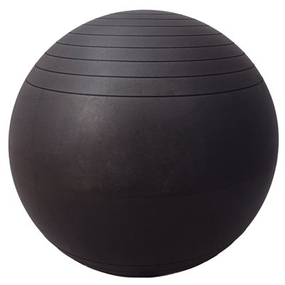 Anti-burst Inflatable Fitness Ball