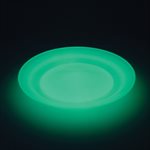 Phosphorescent Spinning Plate with Handstick