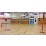 Pair of Volleyball and Badminton Laurentian Athletics® Steel Posts, 1.9" (4.8 cm)