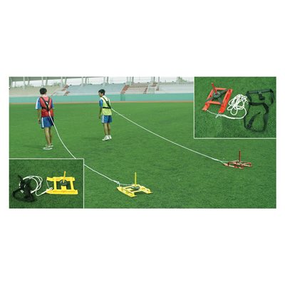 Training sled with weight post