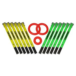 12 mini-ringette sticks + 3 rings