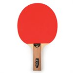 1-star table tennis paddle