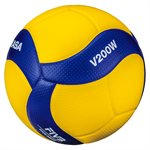 Official FIVB competiton indoor volleyball