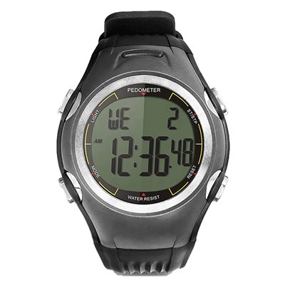 Pedometer watch